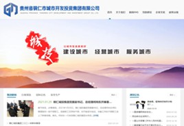 沙坪坝城市开发投资集团有限公司