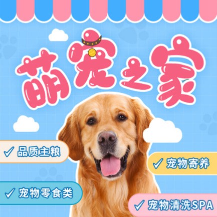 沙坪坝萌宠之家小程序开发